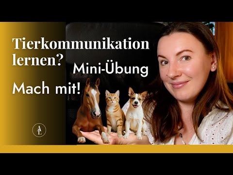 Kannst du Tierkommunikation lernen? Finde es jetzt heraus!💛🐾
