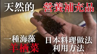 【海藻羊栖菜料理】如果沒吃過的話太可惜！日本人幾乎都每天吃的天然補品　解釋一下羊栖菜的料理做法跟改變做的方法