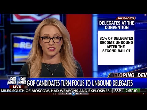 04-08-16 Kat Timpf on The Real Story - Complicated GOP Delegate Rules