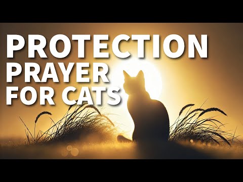 Prayer of Protection for Cats : A Heartfelt Blessing for Our Feline Friends