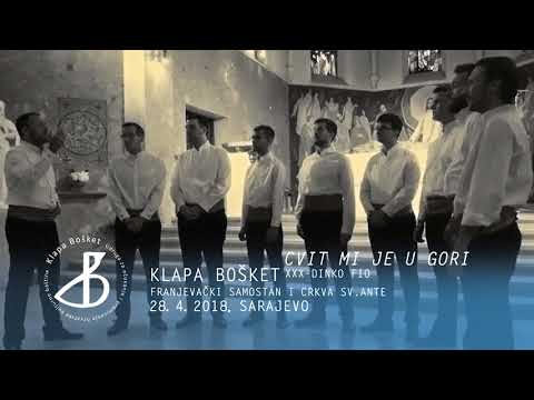 Klapa Bošket - Cvit mi je u gori