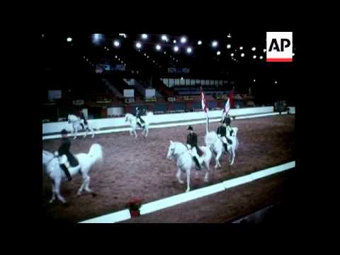 SPANISH RIDING SCHOOL - COLOUR