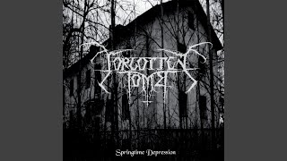 Colourless Despondency Music Video