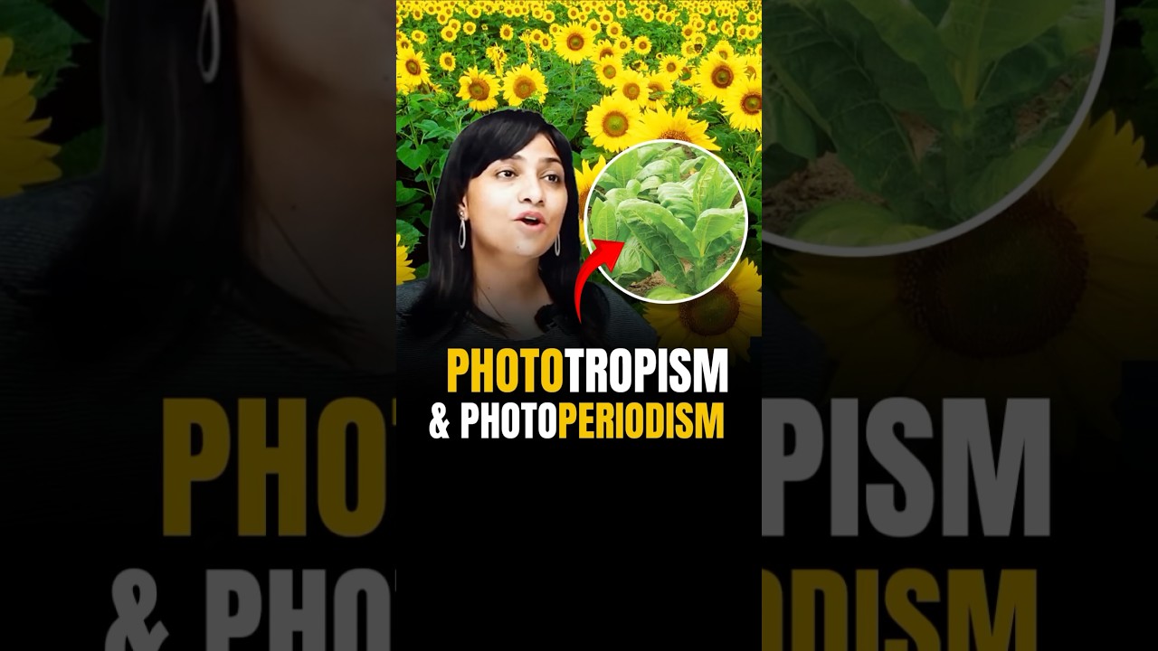 Phototropism aur Photoperiodism me kya difference hota hai bacho?  #riturattewal #neet2024 #neetbio