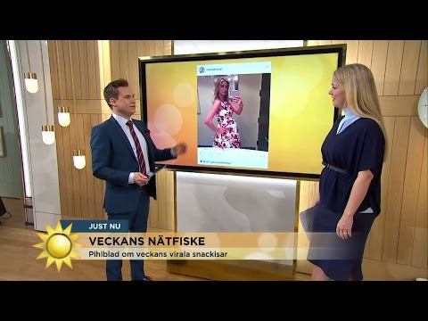 Veckans virala snackisar med Anders Pihlblad - Nyhetsmorgon (TV4)