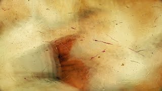 Four Tet - Morning Side (Mustafa Ismaeel Edit)