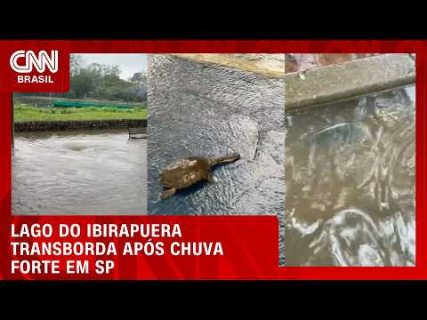 Lagos do Ibirapuera transbordam e peixes se espalham nas pistas de corrida | CNN NOVO DIA