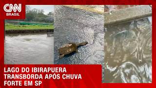 Vídeo: Lagos do Ibirapuera transbordam e peixes se espalham nas pistas de corrida | CNN NOVO DIA