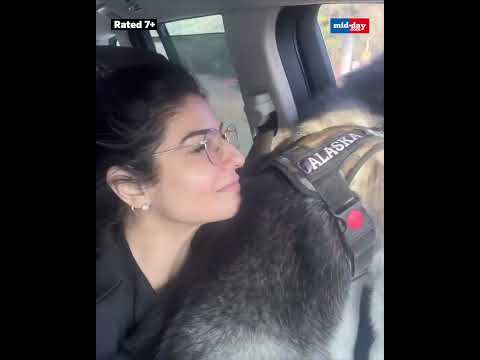 Pet In A House Is Very Necessary, It Teaches You So Much, & They're The Best Stress Busters