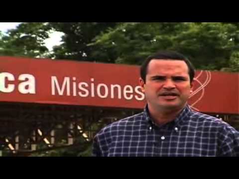 CIENCIA MICRO 6 Micropropagación vegetal