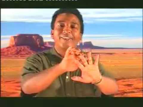 Ny Ainga - Folo taona