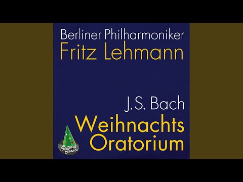 Christmas Oratorio, Bwv 248 Pt. 2: Schlafe, Mein Liebster