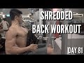 My Shredded BACK Workout | Day 81
