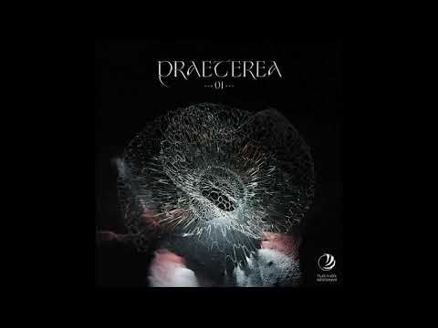 Indefinite Pitch premieres. Mordio - Entificatio [Fur:ther Sessions]