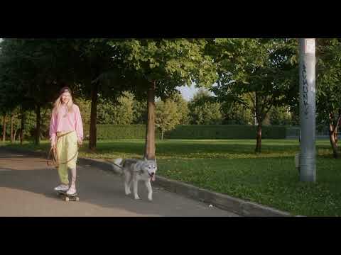 Dogs that fly malinois alsation