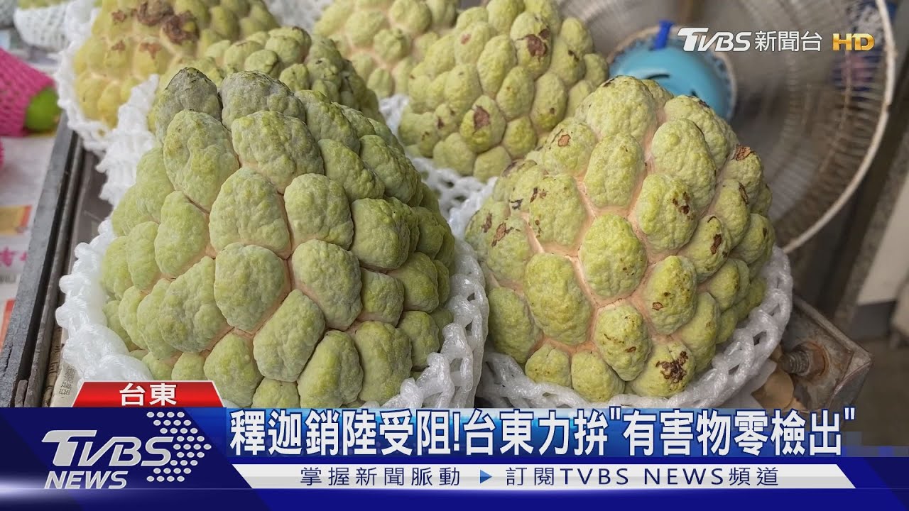 釋迦銷陸受阻!台東力拚「有害物零檢出」