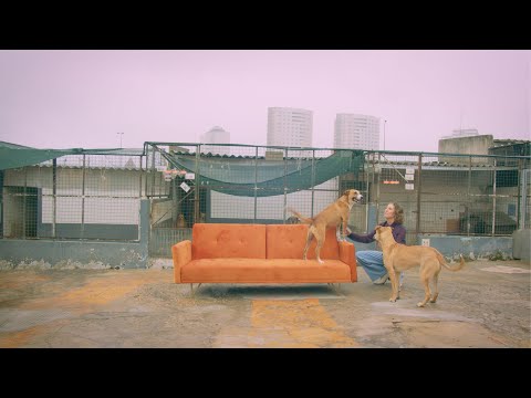 Inês Marques Lucas - Sofá