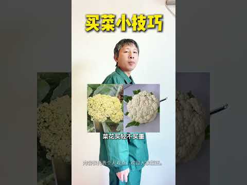 How to Pick the Best Meat: A Guide to Buying Lamb, Pork, Chicken, Beef, & Frozen Shrimp