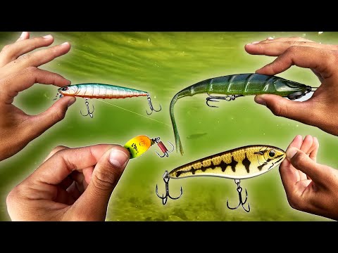 Wann Du welchen Köder einsetzen solltest! (Kunstköder Angel-Guide) 👍🏻