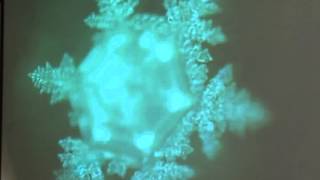 Palestra - O Poder da Água - Masaru Emoto