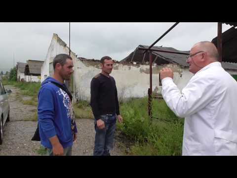 1/3 In urma telefonului primit, sosesc la stupina Mihai si Gheorghita din Racaciuni Bacau