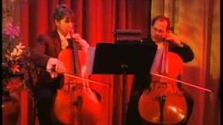 The Road Home - Dog &amp; Butterfly