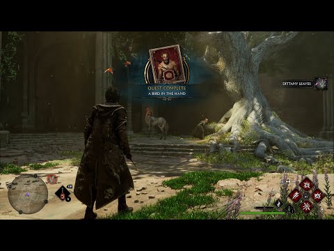 Hogwarts Legacy - Figure out how to enter the ruins - A bird in the hand - Poppy