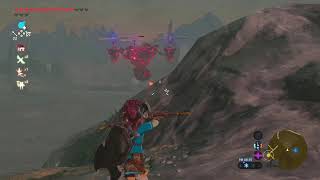 【SWITCH2】ゼルダの伝説　ブレスオブザワイルドを初見プレイ