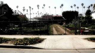 Cody ChesnuTT "Come Back Like Spring"