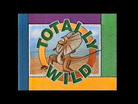 Totally Wild TV Theme - RAVE version