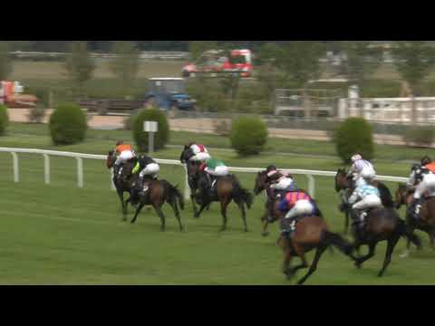 CH, 15. 8. 2020, 2. dostih - CENA B&B CHUCHLE ARENA PRAHA