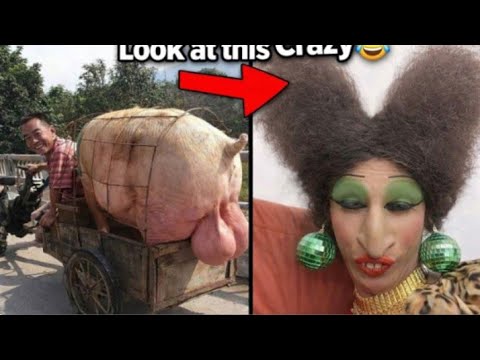 “So Funny, You’ll Forget What You Were Doing!”😂 | Part 52