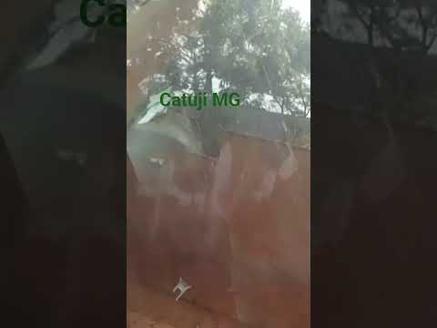 #caminhoparaumavidamelhor catuji MG