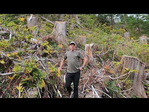 Reforesting Heavy Brush Areas in the ICH with RTI's  Gilbert Smith pak
