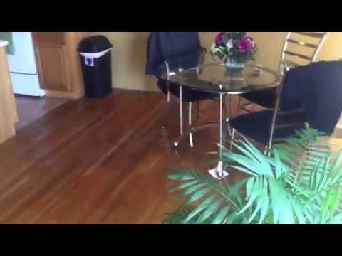 Large two bedroom Quincy shore Drive