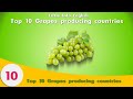 top 10 grape production countries 🍇🍇 2020 in english