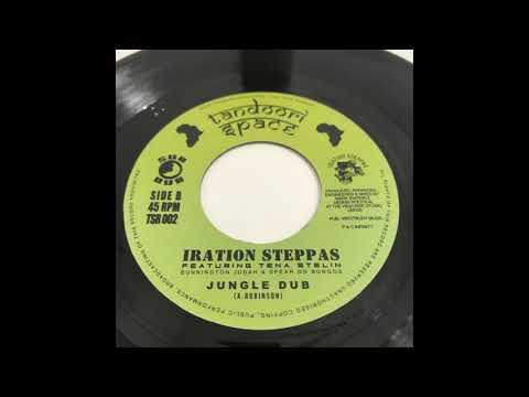 7 inch / Iration Steppas Featuring Tena Stelin  / Jungle Jungle / 2001