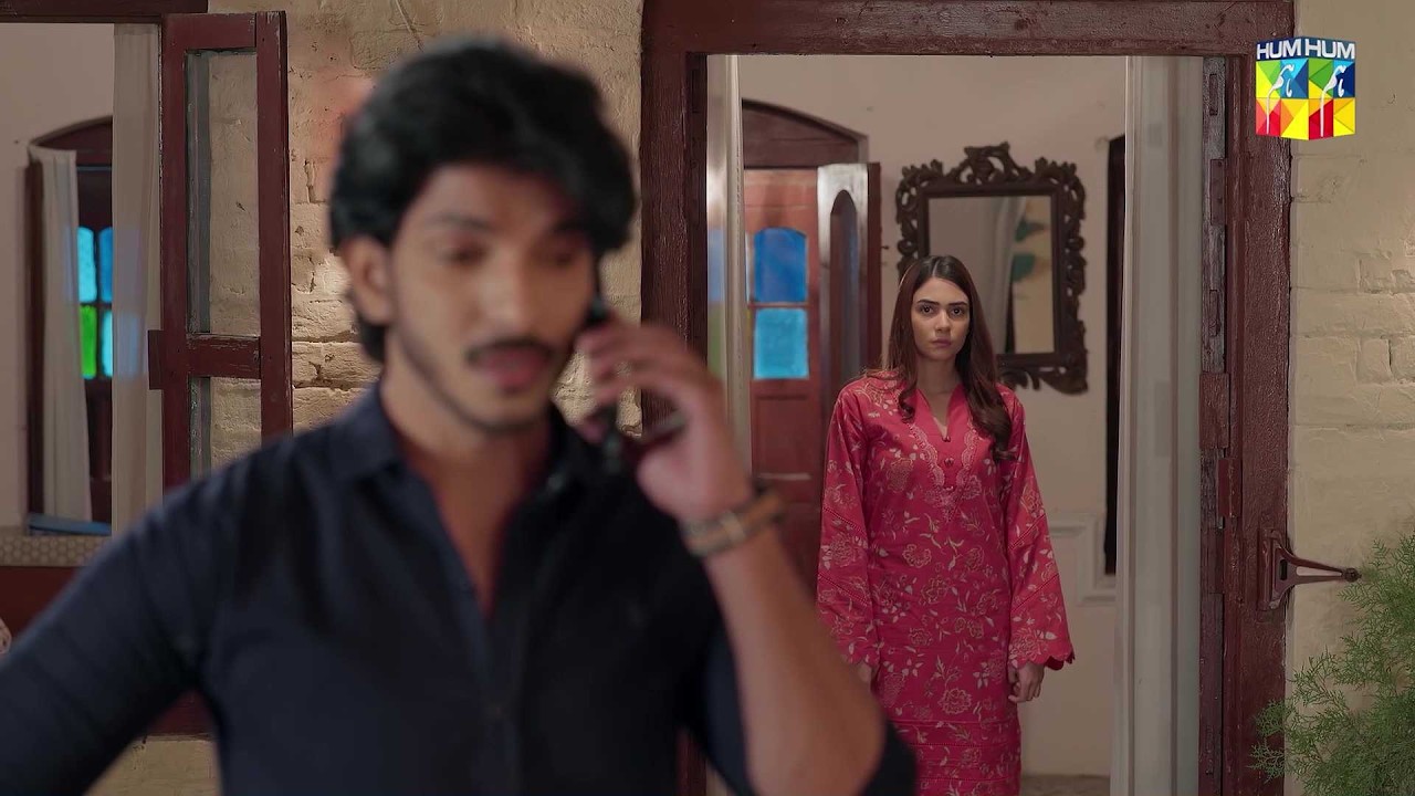 20 Lakh Ki Raqam Kahan Se Aye Gi..? #alishbakhan #mohsinabbashaider #musafat - HUM TV