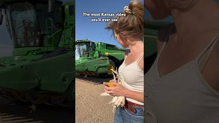 35 mph wind, corn, and a combine.  #farmlife #farm #kansas #funny #satisfying #corn #ag #farmgirl