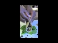 Bella S Black Bean Breakfast Burrito