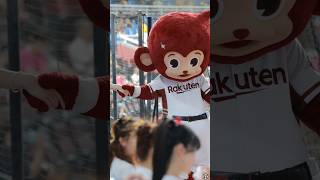 抱粒猿又在幹嘛？ #cheerleader #fancam #台湾チア #dance #樂天桃猿 #樂天女孩 #rakutengirls #rakutenmonkeys