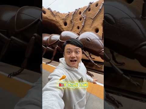 Tàu hoả kiến bánh 🐜 #shortvideo
