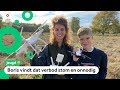 Vliegen met echte drones straks verboden voor kinderen