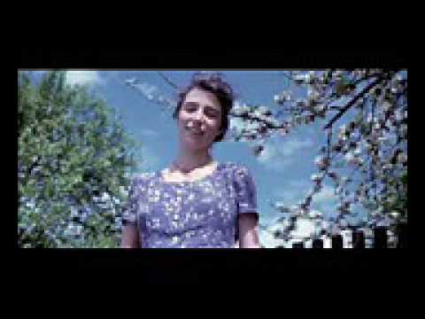 Mein Studentenmädchen  Dr R G Hamer