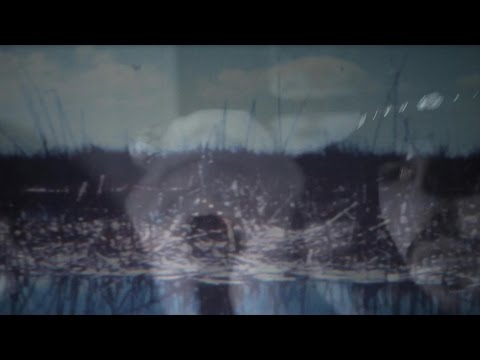 Delta Howl - Reach The Shore