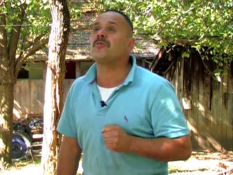 Zmaj se udavio orahom