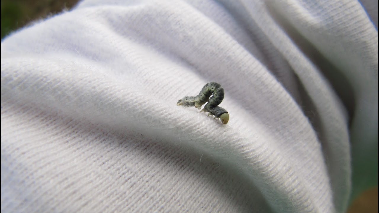 Math 10C final review ch.5