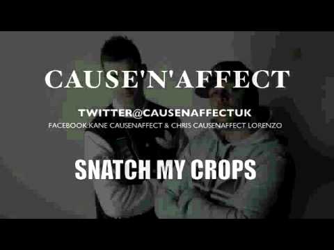 CAUSE&AFFECT-SNATCH MY CROPS