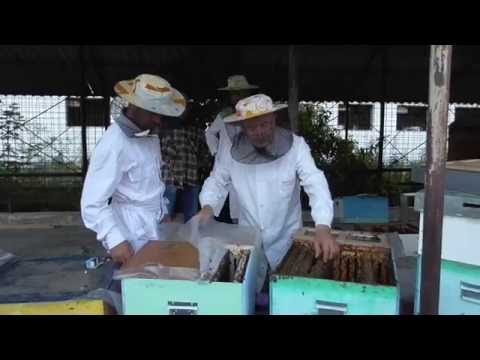 Gheorghita, insotit de Mihai, a sosit sa-si ia 3 biostupi - 23 Iunie 2016