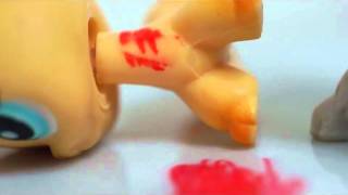 Littlest Pet Shop : Flawed Design {Music Video}